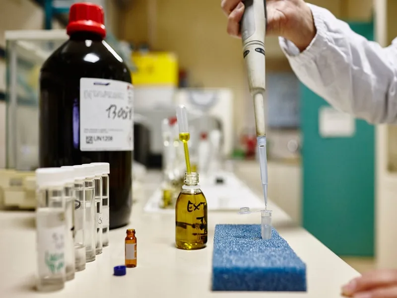 Bottiglia di olio extravergine analizzata contro luce per verificarne l'autenticità