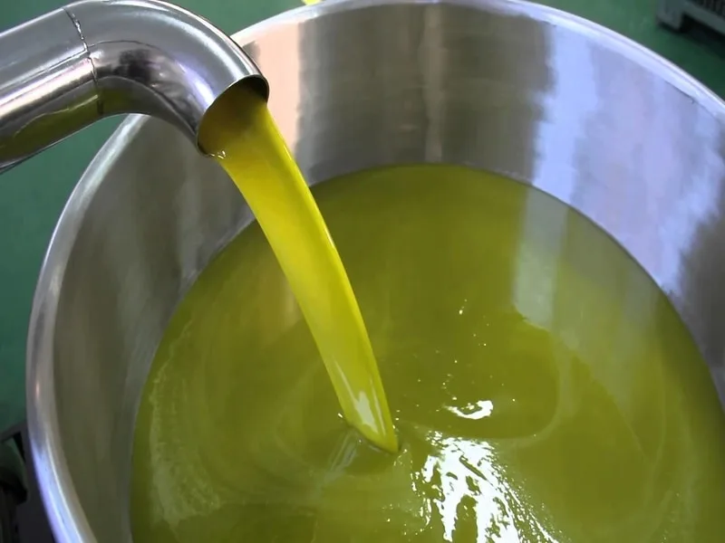 Prototipo di scambiatore ad ultrasuoni applicato al processo di estrazione dell'olio extravergine