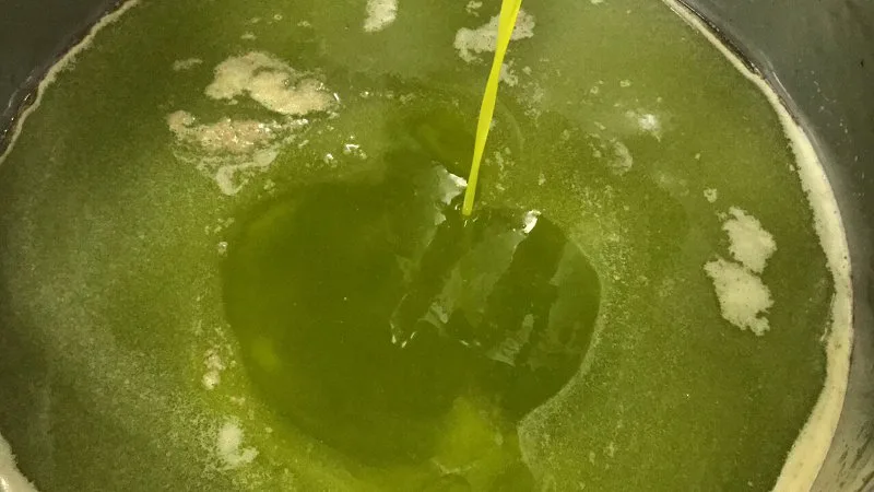 Bottiglie di olio extravergine pugliese pronte per la spedizione