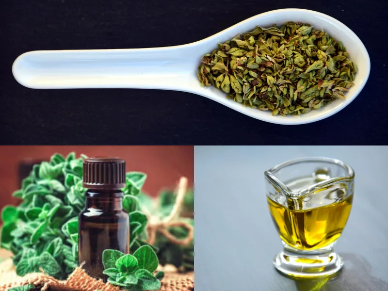 Vasetto di olio extravergine di oliva aromatizzato con foglie di origano