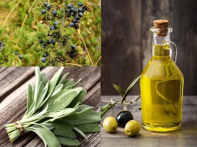 Bottiglia di olio extravergine aromatizzato con foglie di salvia e bacche di mirto