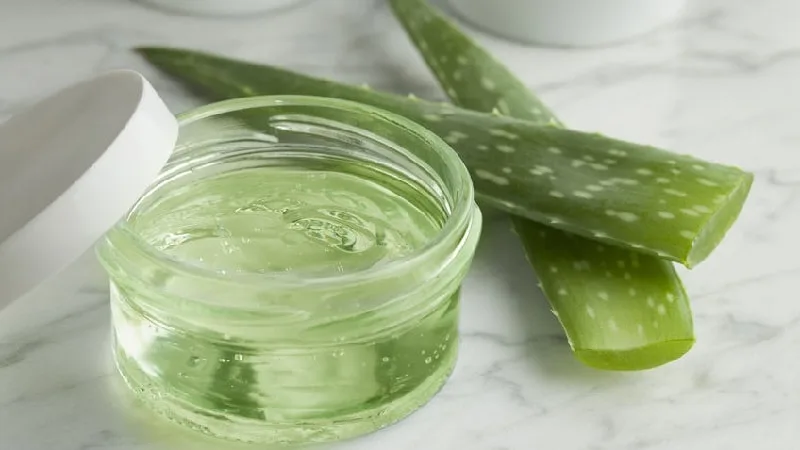 Foglie di aloe vera e bottiglia di olio extravergine di oliva su fondo naturale