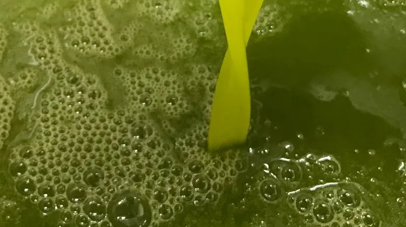 Olio extravergine di oliva dal colore verde intenso versato in una ciotola