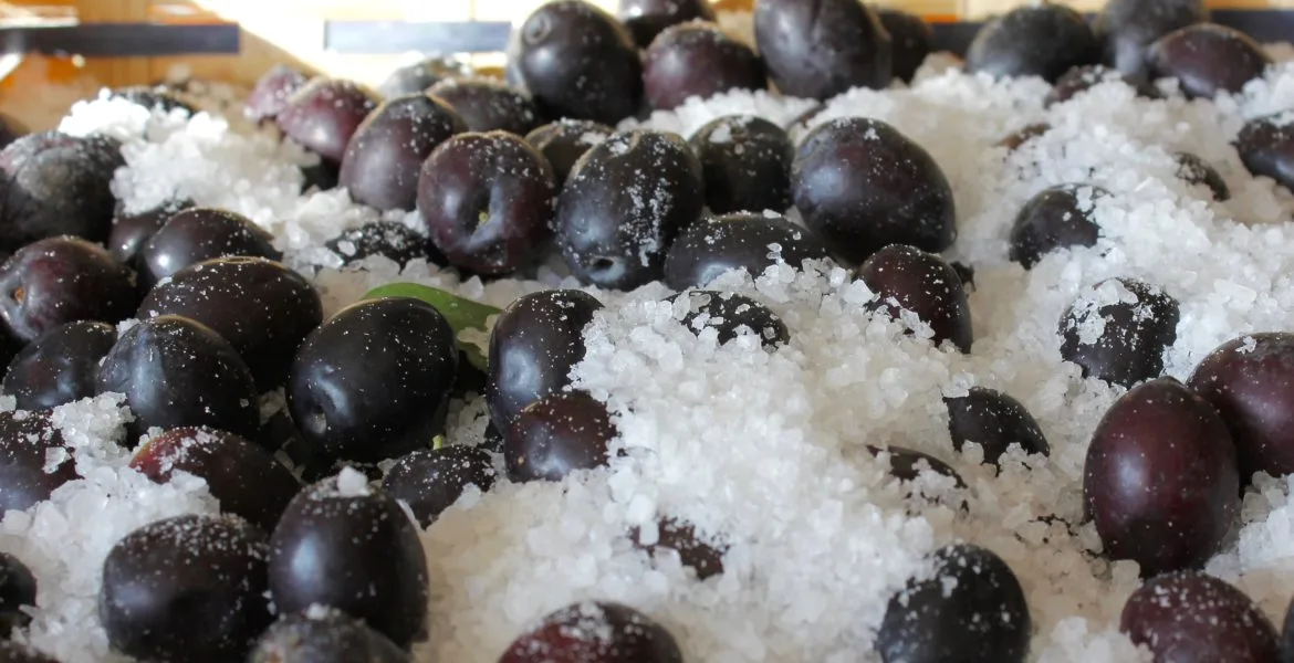 Olive nere Peranzana sotto sale, pronte per la salamoia