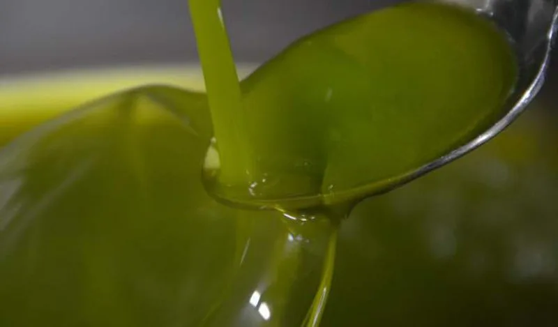 Olive e olio d'oliva: difetti e alterazioni della qualità
