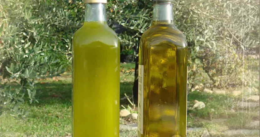 Confronto tra olio extravergine filtrato e non filtrato in due bottiglie affiancate