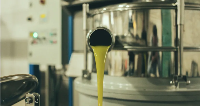 Impianto di estrazione a freddo continua per olio extravergine di oliva — Agricola Pannarale